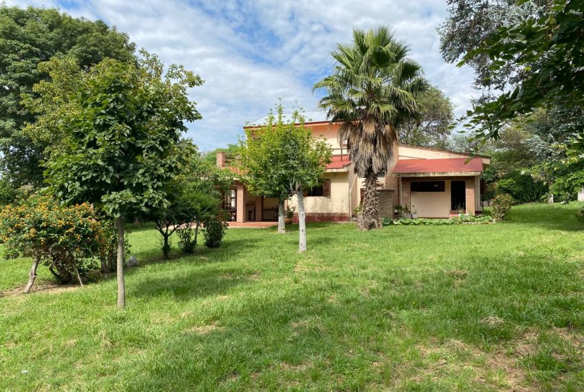 WhatsApp Image 2026-02-11 at 9.51.13 AM (11)