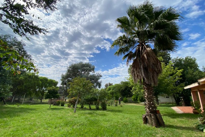 WhatsApp Image 2026-02-11 at 9.51.13 AM (17)