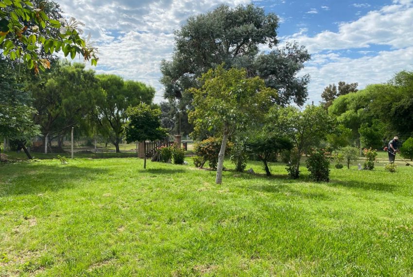 WhatsApp Image 2026-02-11 at 9.51.13 AM (18)