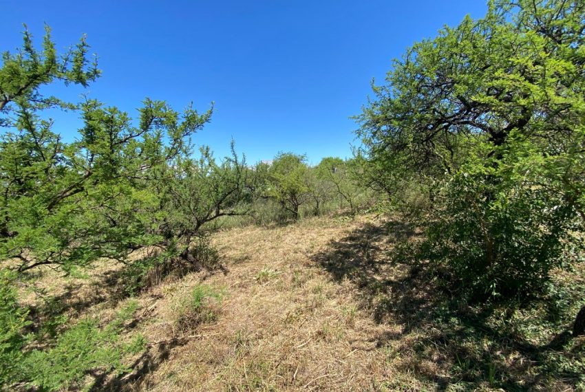 WhatsApp Image 2026-02-24 at 11.34.48 AM (1)