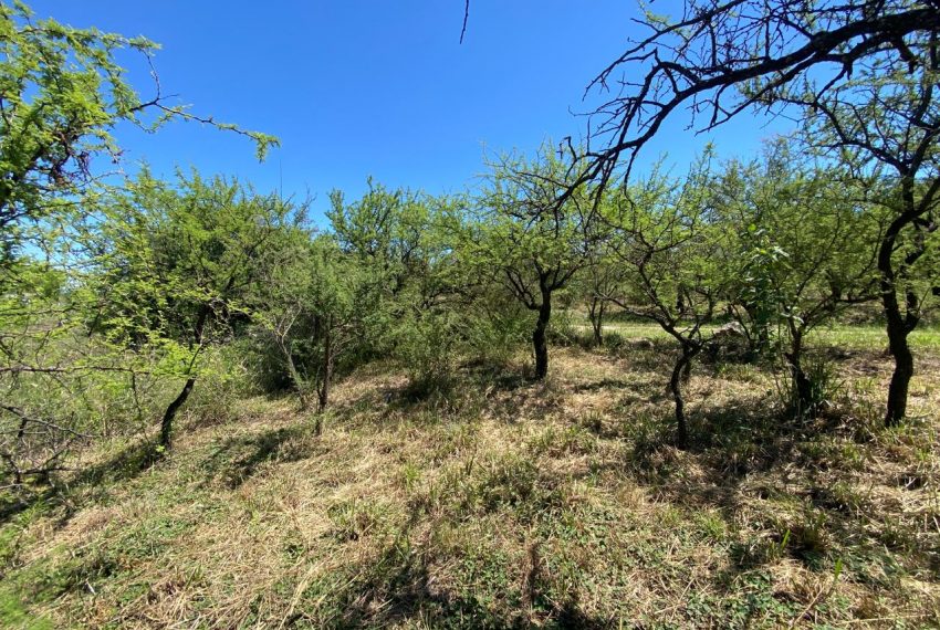 WhatsApp Image 2026-02-24 at 11.34.48 AM (2)