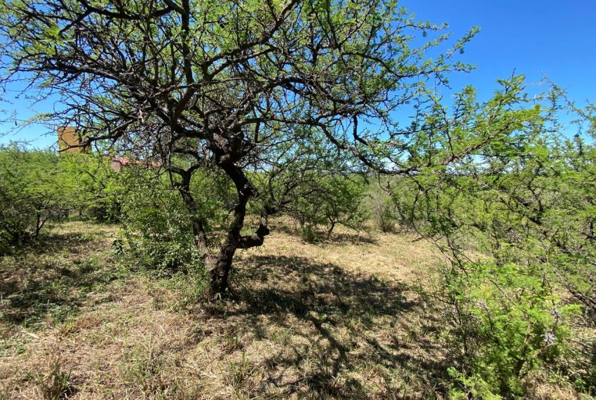 WhatsApp Image 2026-02-24 at 11.34.48 AM (3)