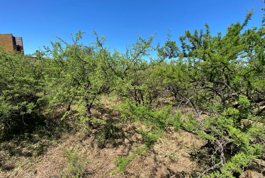 WhatsApp Image 2026-02-24 at 11.34.48 AM