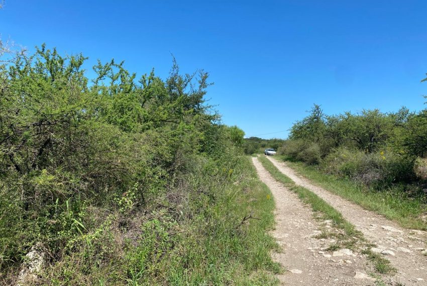 WhatsApp Image 2026-02-24 at 11.44.33 AM (1)