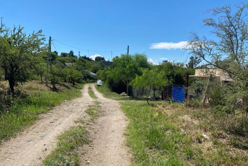 WhatsApp Image 2026-02-24 at 11.44.33 AM