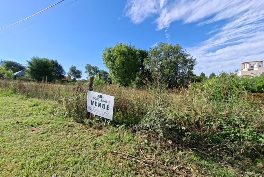 WhatsApp Image 2026-03-04 at 9.39.29 AM