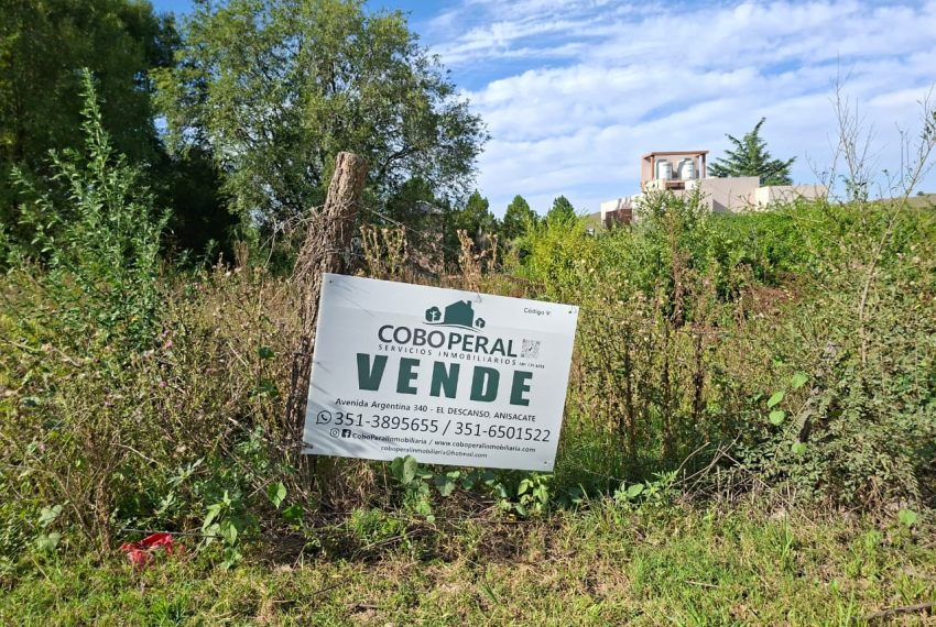 WhatsApp Image 2026-03-04 at 9.39.30 AM (1)