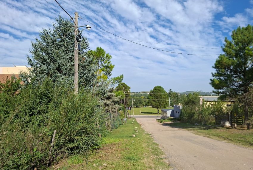 WhatsApp Image 2026-03-04 at 9.39.31 AM