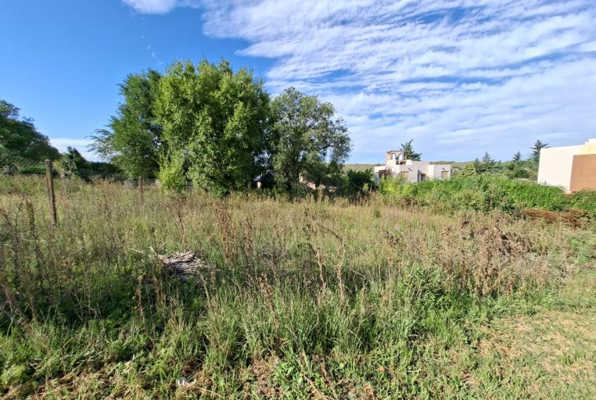 WhatsApp Image 2026-03-04 at 9.39.32 AM