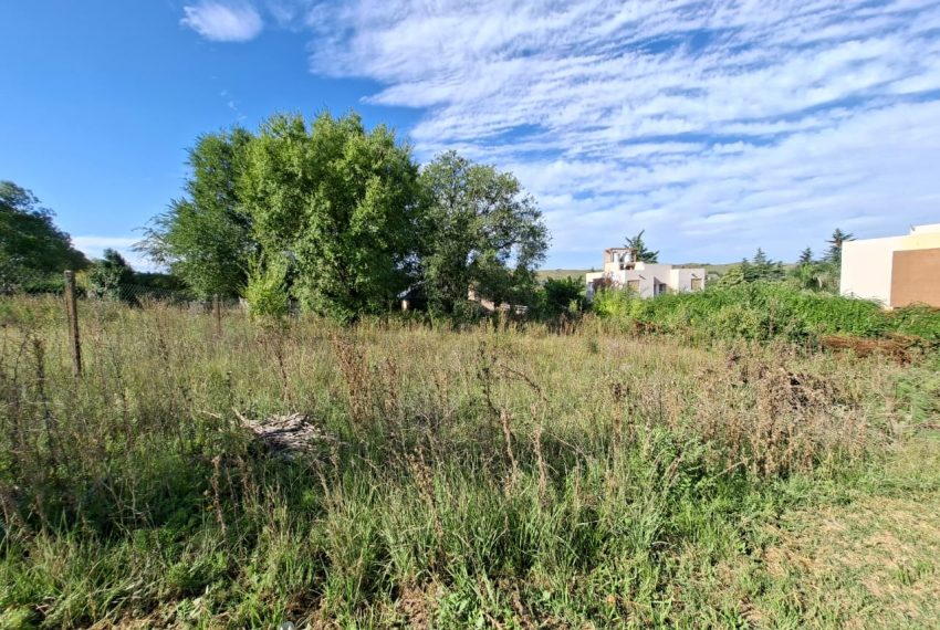 WhatsApp Image 2026-03-04 at 9.39.33 AM