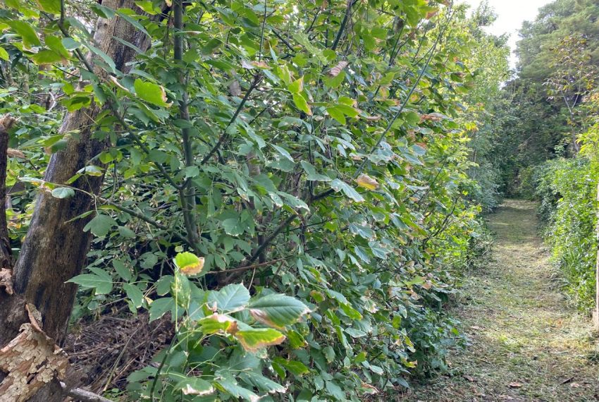 WhatsApp Image 2026-04-16 at 10.21.38 AM (1)