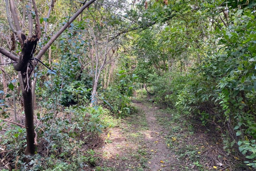 WhatsApp Image 2026-04-16 at 10.21.38 AM (10)