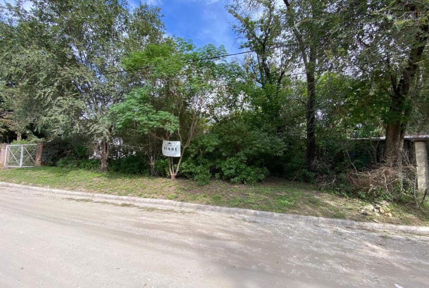 WhatsApp Image 2026-04-16 at 10.21.38 AM (11)