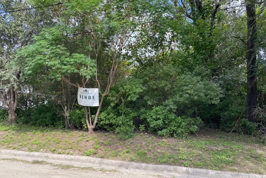 WhatsApp Image 2026-04-16 at 10.21.38 AM (12)