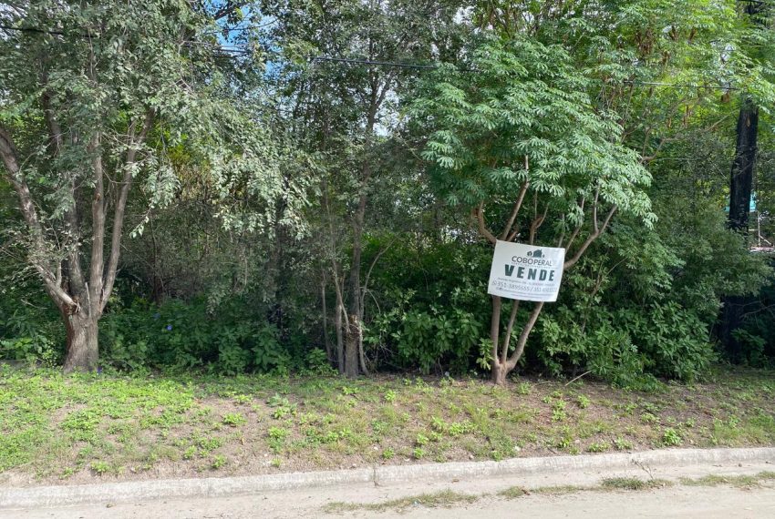 WhatsApp Image 2026-04-16 at 10.21.38 AM (15)