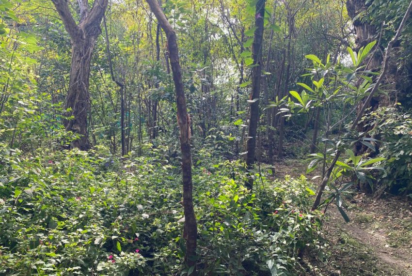 WhatsApp Image 2026-04-16 at 10.21.38 AM (2)