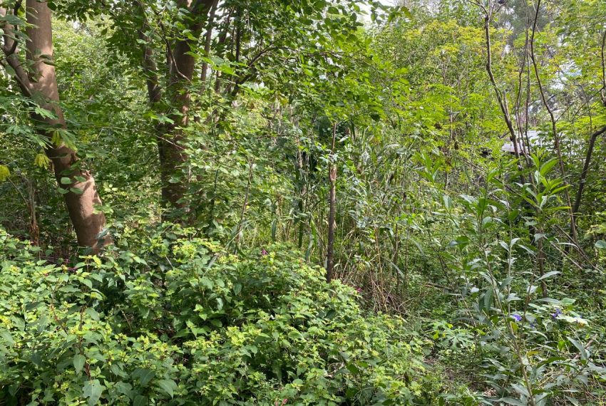 WhatsApp Image 2026-04-16 at 10.21.38 AM (3)