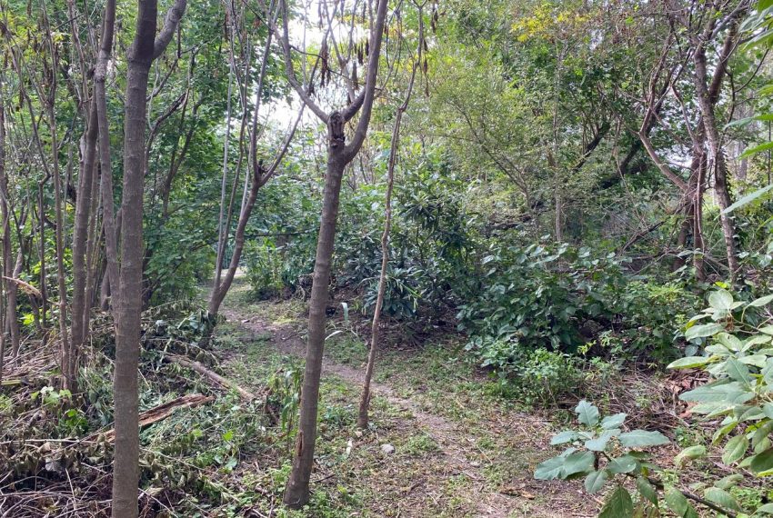 WhatsApp Image 2026-04-16 at 10.21.38 AM (4)