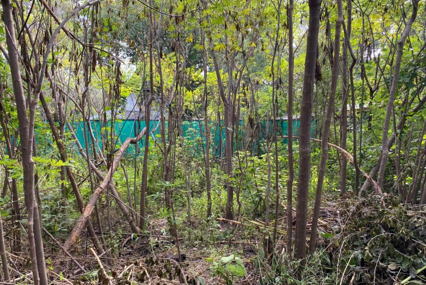 WhatsApp Image 2026-04-16 at 10.21.38 AM (5)