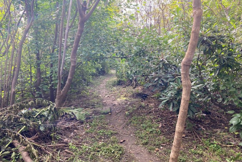 WhatsApp Image 2026-04-16 at 10.21.38 AM (6)