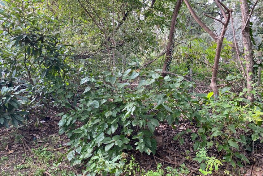 WhatsApp Image 2026-04-16 at 10.21.38 AM (7)