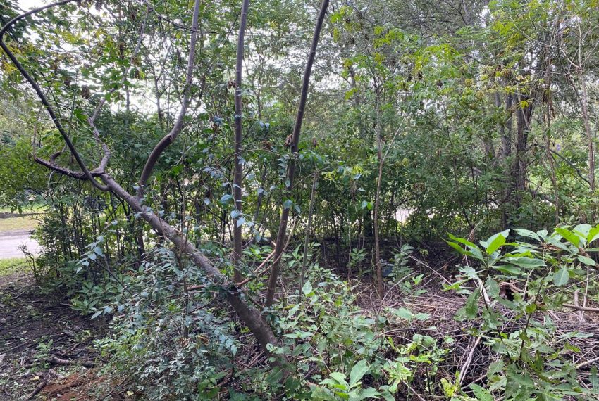 WhatsApp Image 2026-04-16 at 10.21.38 AM (8)