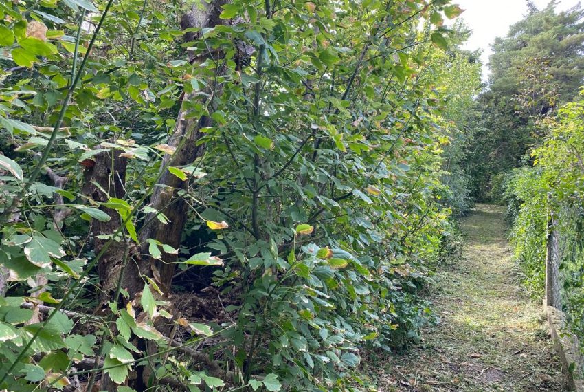 WhatsApp Image 2026-04-16 at 10.21.38 AM