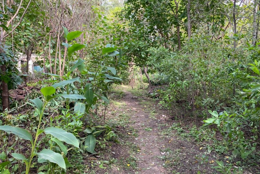 WhatsApp Image 2026-04-16 at 10.21.38 AM (9)