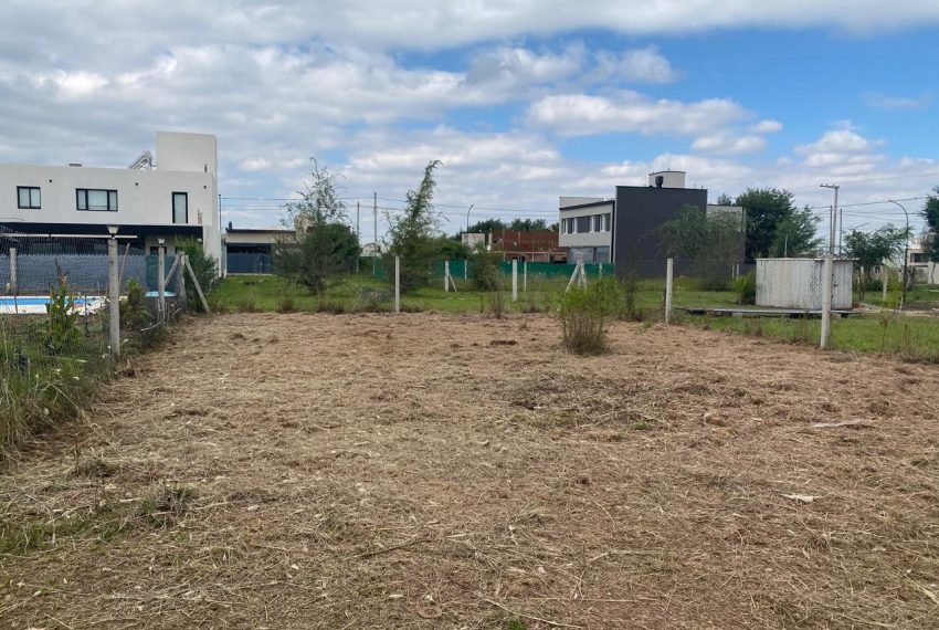 WhatsApp Image 2026-04-16 at 11.11.29 AM