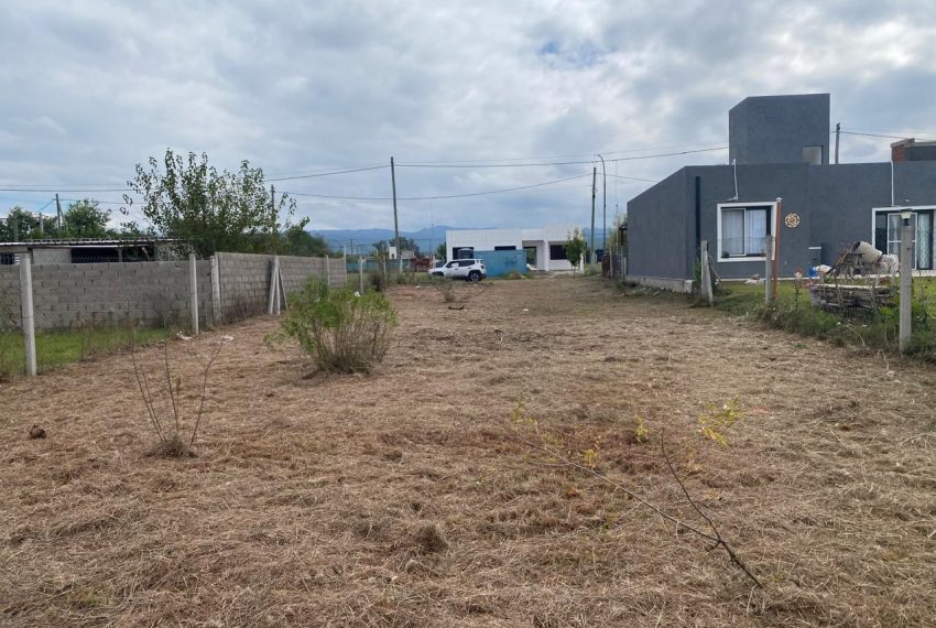 WhatsApp Image 2026-04-16 at 11.11.30 AM (1)