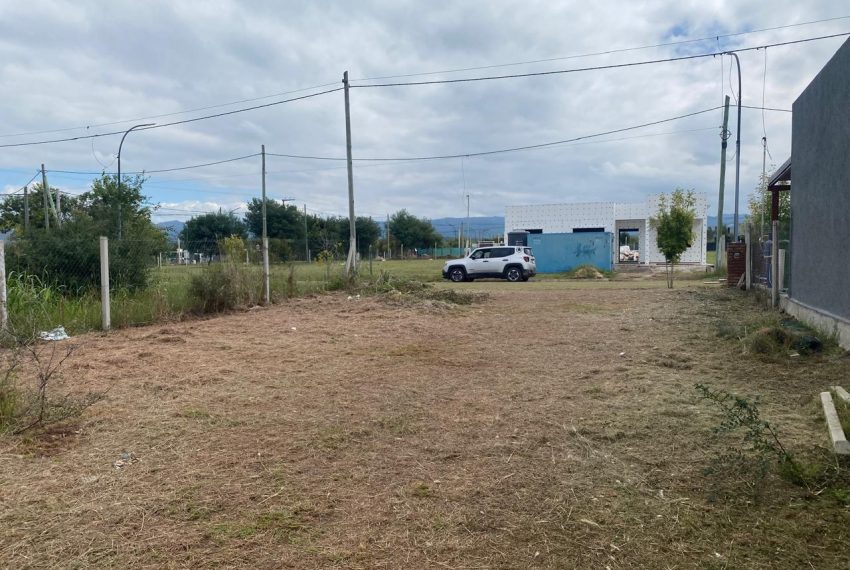 WhatsApp Image 2026-04-16 at 11.11.30 AM (3)