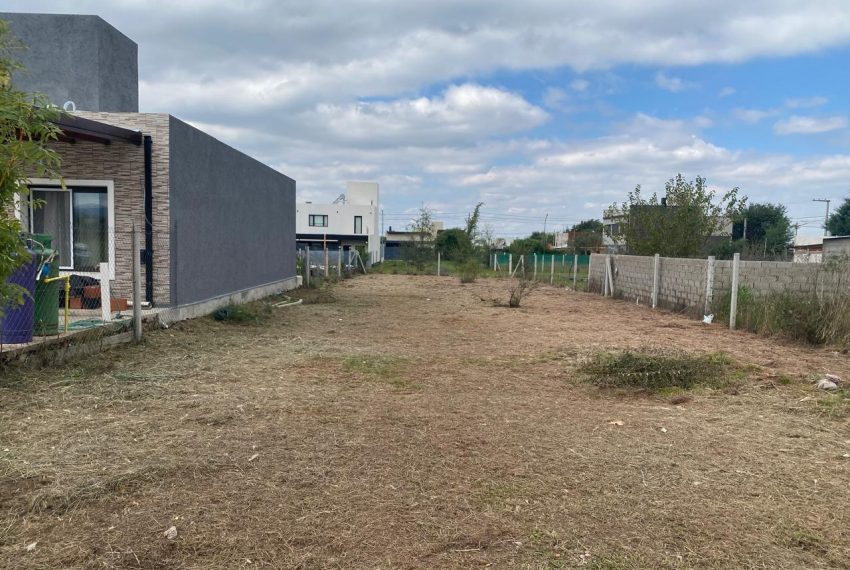 WhatsApp Image 2026-04-16 at 11.11.30 AM (4)