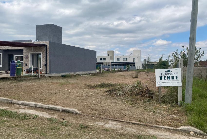 WhatsApp Image 2026-04-16 at 11.11.30 AM (5)