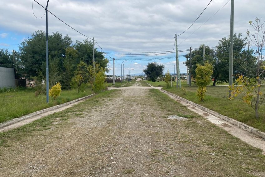 WhatsApp Image 2026-04-16 at 11.11.30 AM (6)