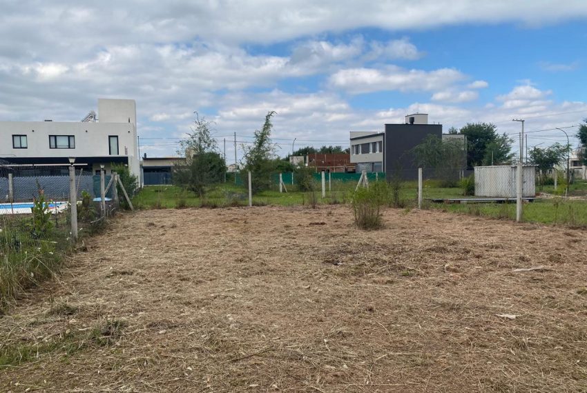 WhatsApp Image 2026-04-16 at 11.11.30 AM